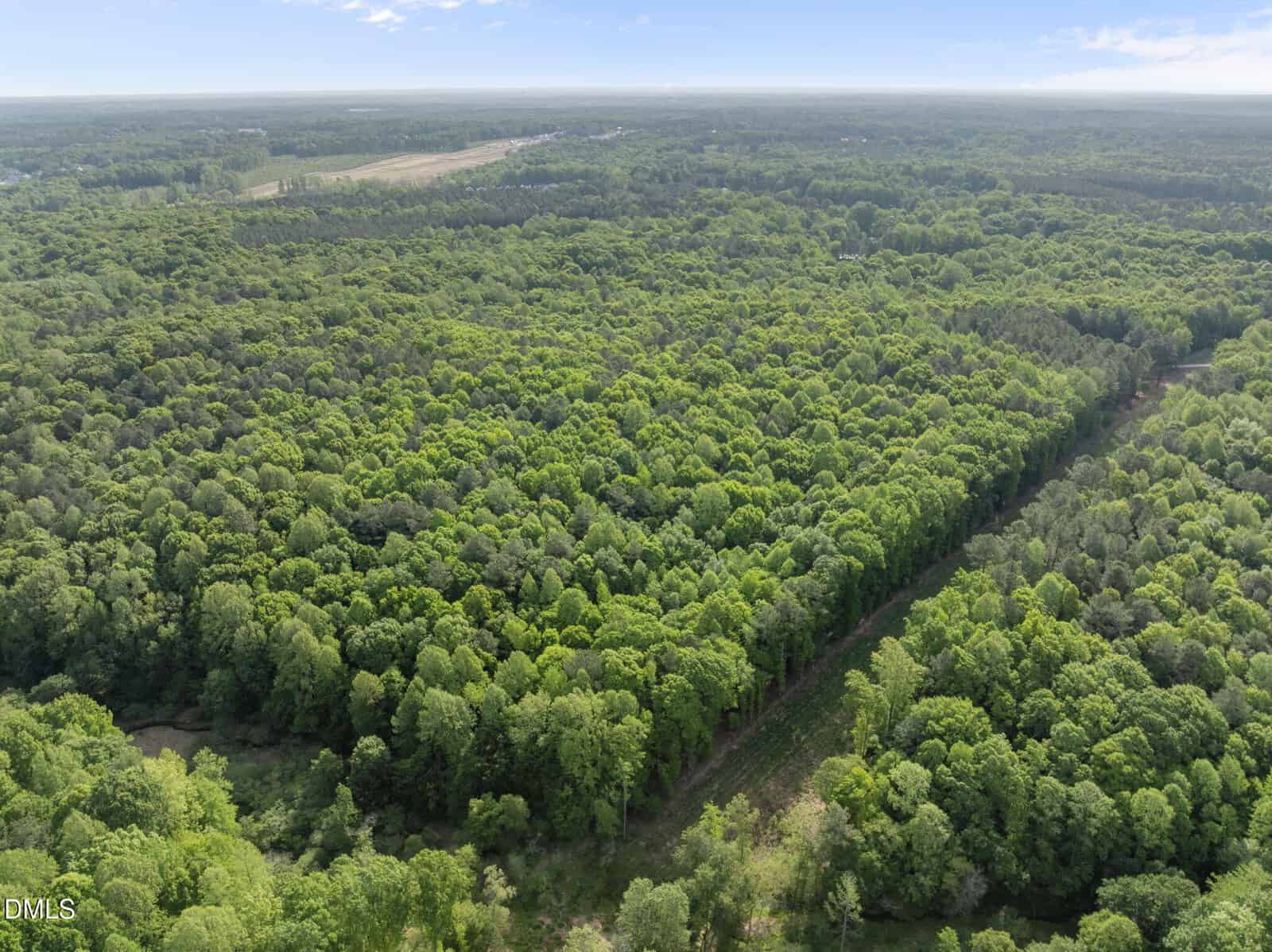 Aerial view of a dense, green forest with a dirt path cutting through the trees, stretching towards the horizon under a blue sky with scattered clouds.