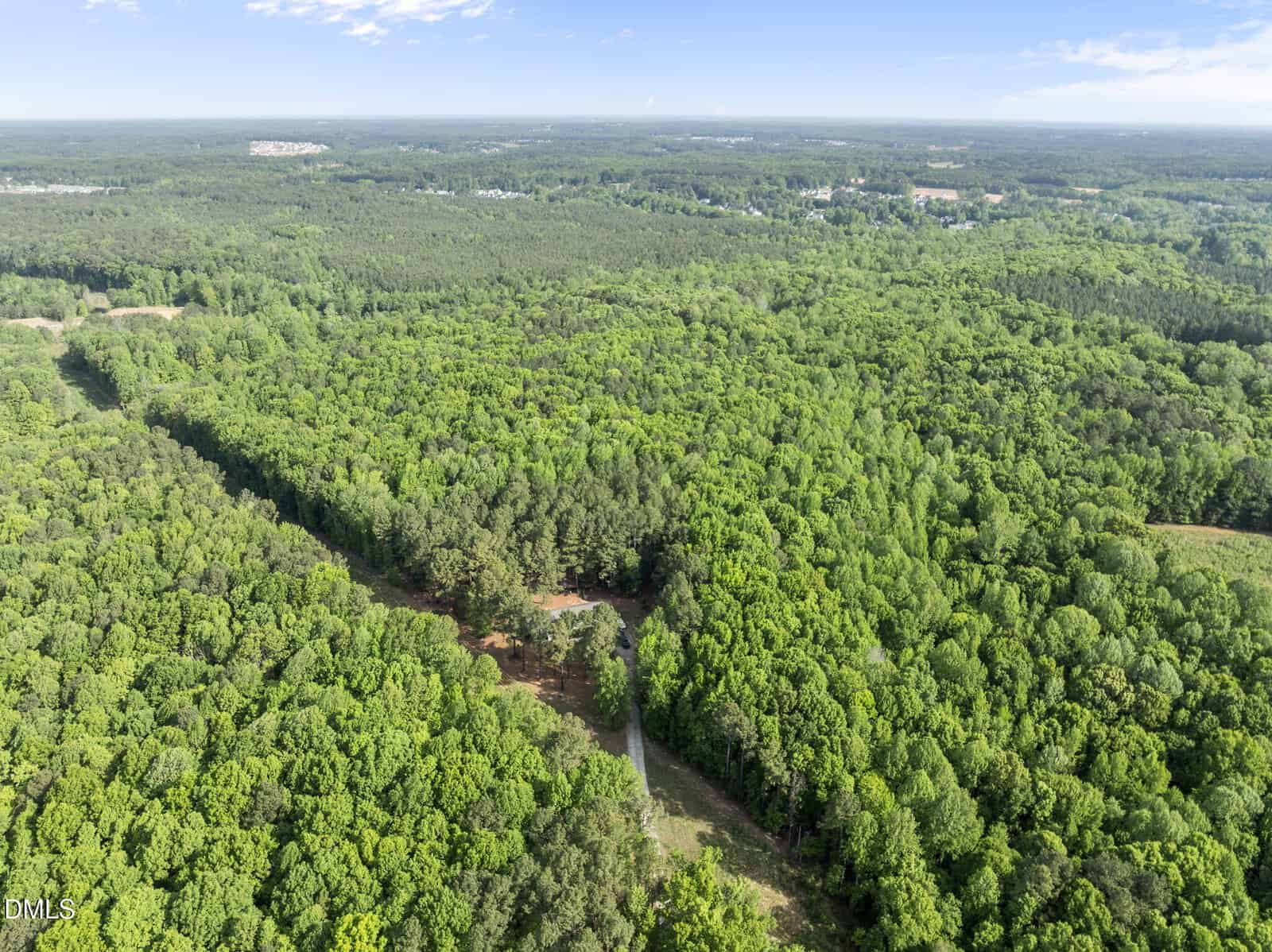 Aerial view of a dense green forest with a narrow paved road cutting through the trees. The horizon shows expansive woodland and a few scattered buildings under a partly cloudy blue sky.