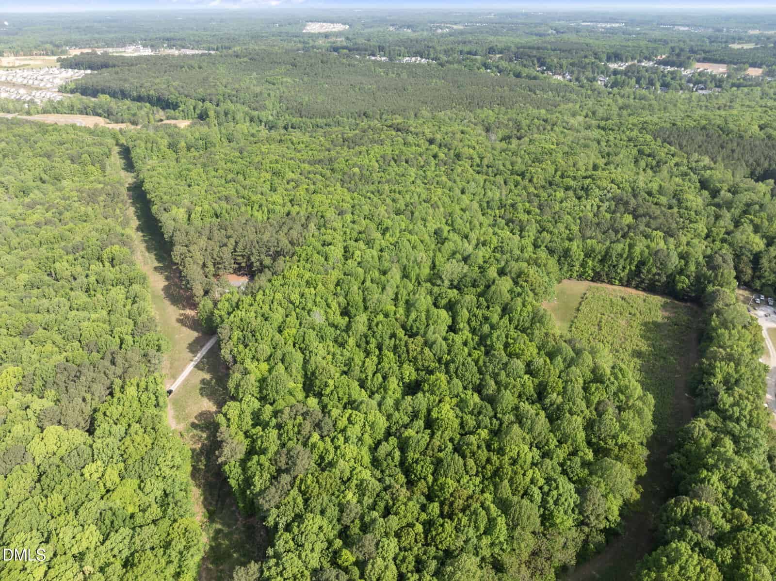 Aerial view of a densely wooded area with a straight dirt road cutting through the forest. Open clearings and distant houses are visible at the edge of the trees under a partly cloudy sky.