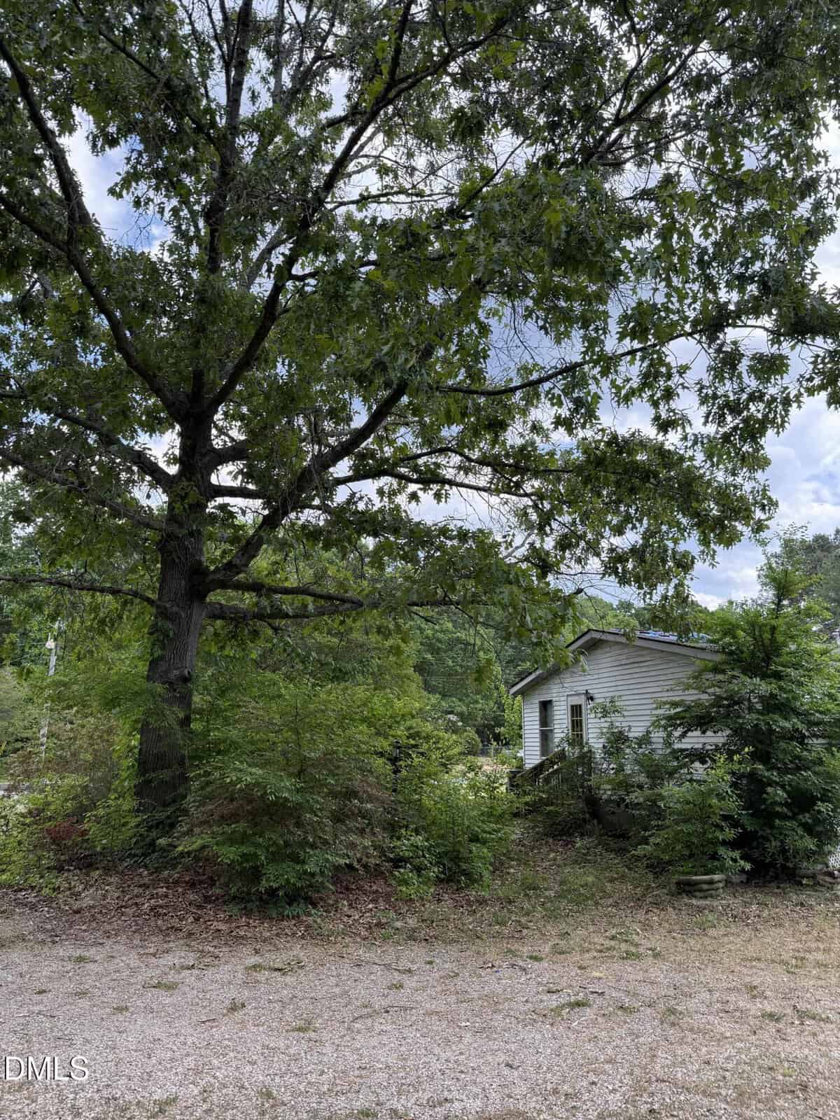 A small white house is partially hidden by large trees and dense greenery, with a gravel driveway in the foreground and a cloudy sky visible through the leaves.