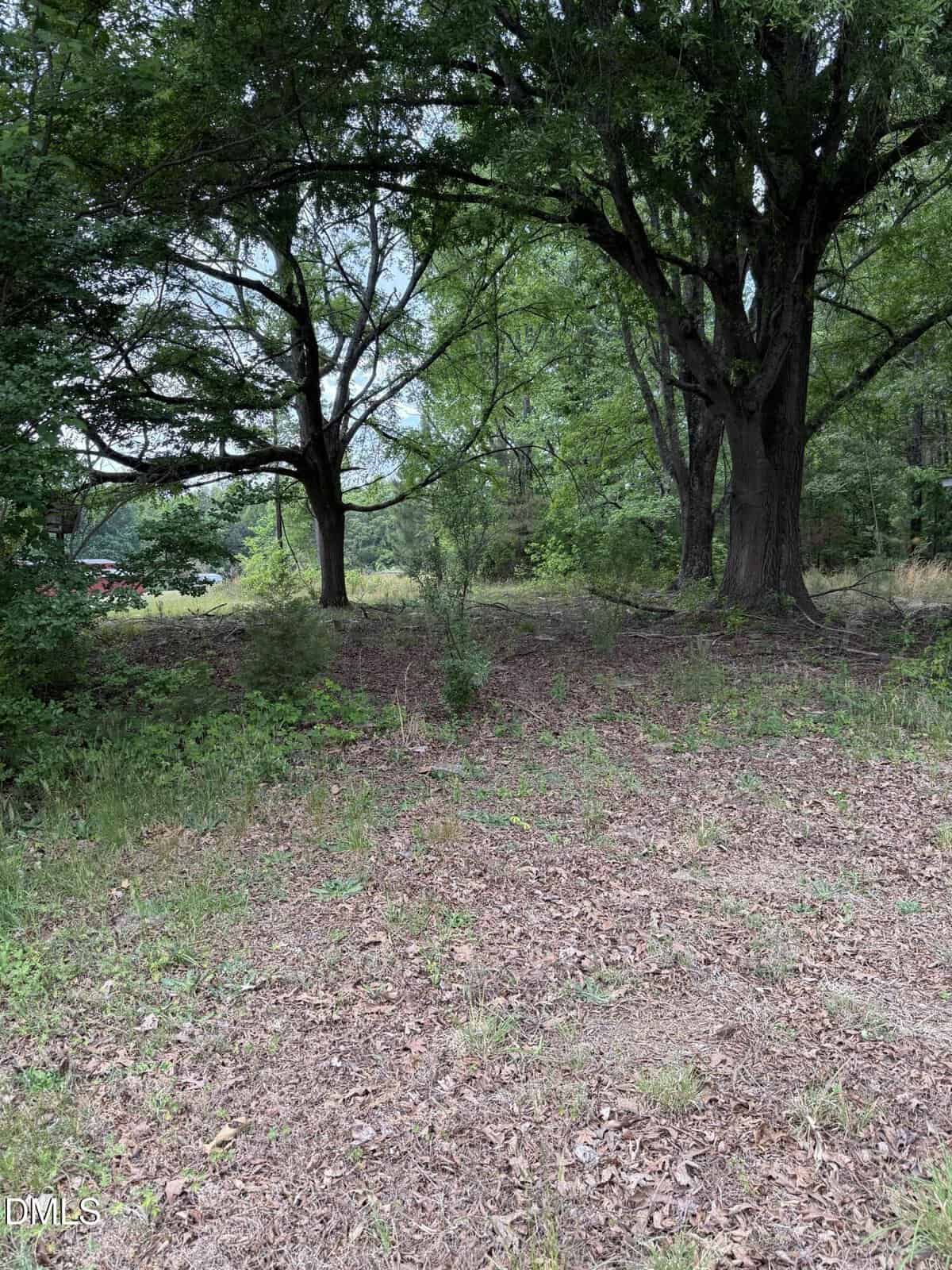 A grassy, slightly sloped clearing with scattered leaves and two large trees under a partly cloudy sky. Bushes and greenery surround the area, giving a sense of quiet nature.