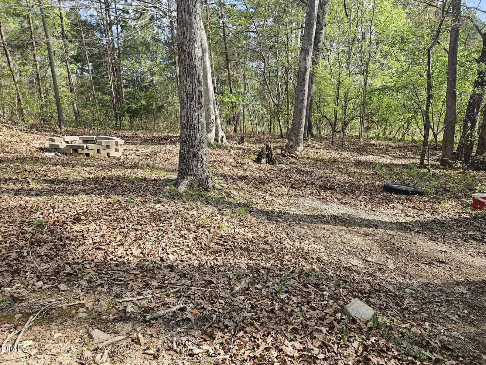 A wooded area with scattered fallen leaves, a stack of concrete blocks, a tire on the ground, a red cooler, and sunlight filtering through the trees.