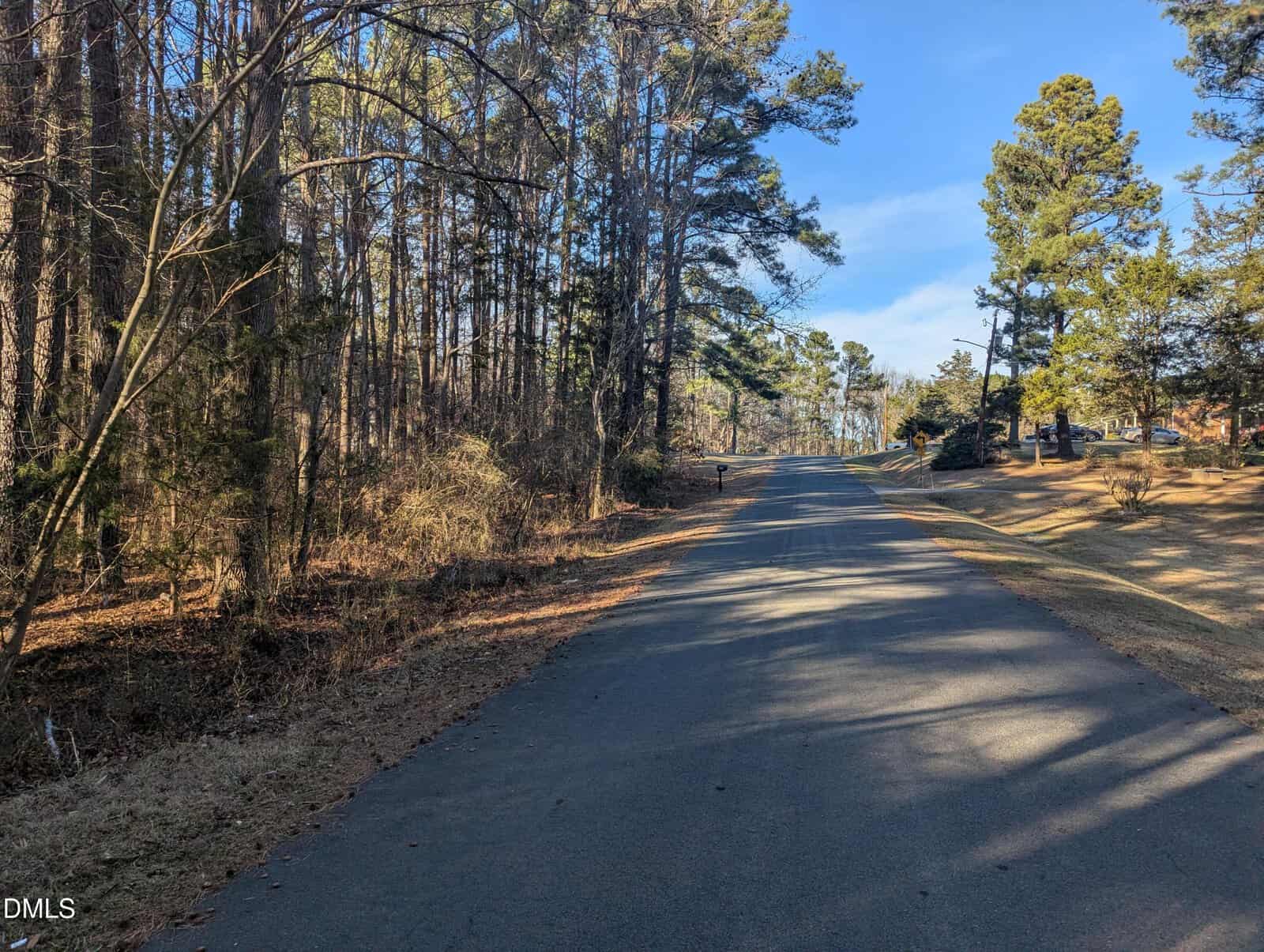 A paved road runs through a wooded area with tall pine trees and sparse underbrush on one side, and open grass with scattered trees on the other, under a clear blue sky.
