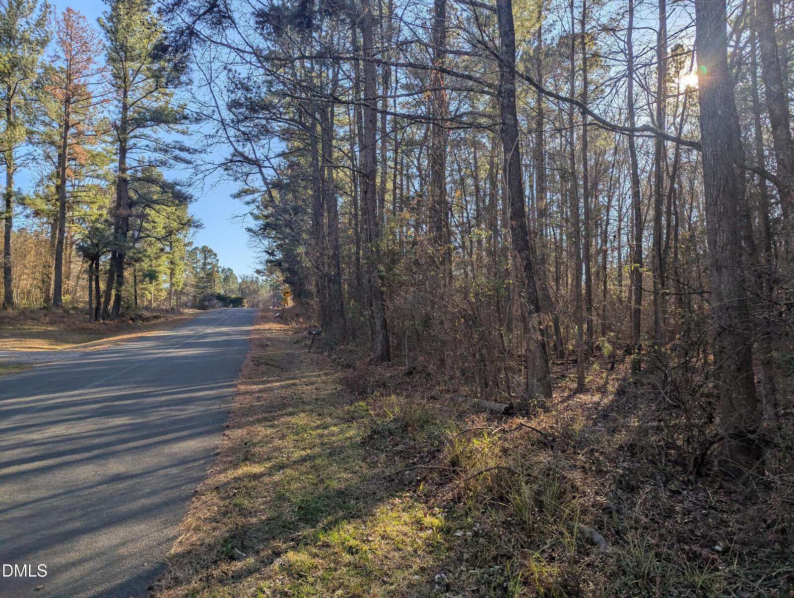 A paved road curves through a forested area with tall trees on both sides. Sunlight filters through the branches, casting shadows on the ground. The sky is clear and blue.