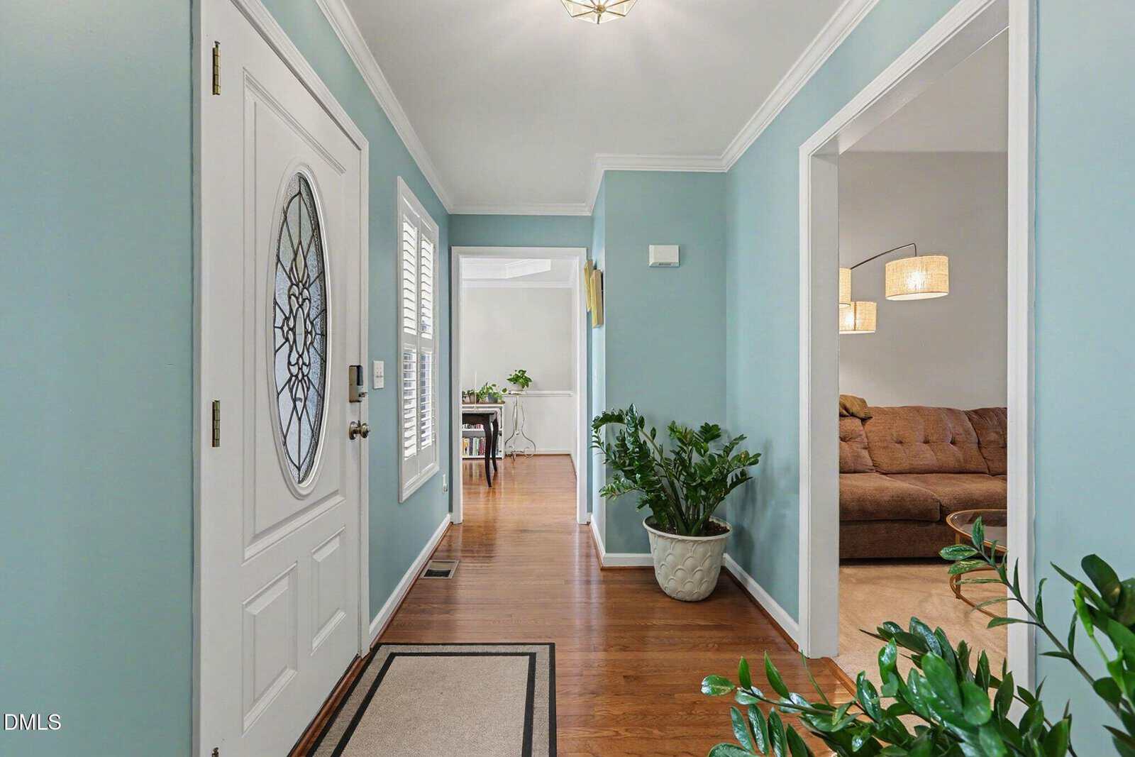 A hallway with light blue walls, white trim, and wooden floor leads to a living room with a brown sofa. Potted plants decorate the space, and natural light brightens the scene.