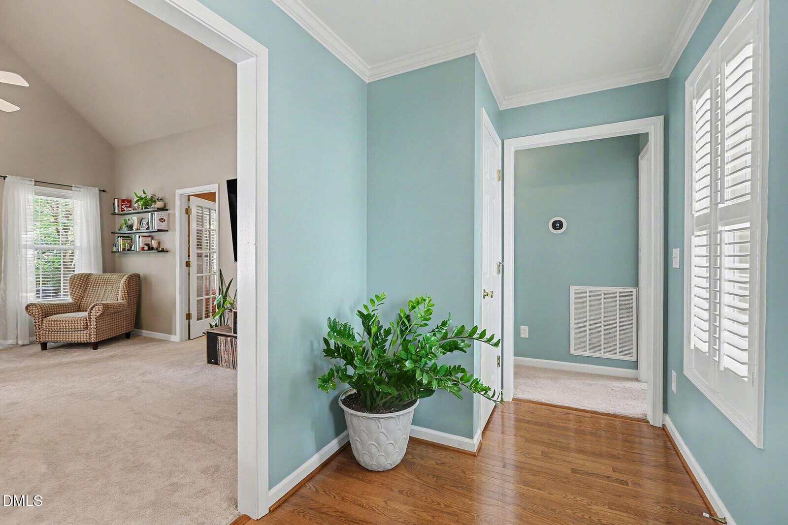 A hallway with light blue walls, white trim, hardwood floors, a potted green plant, and doors leading to carpeted rooms with natural light from windows and white shutters.