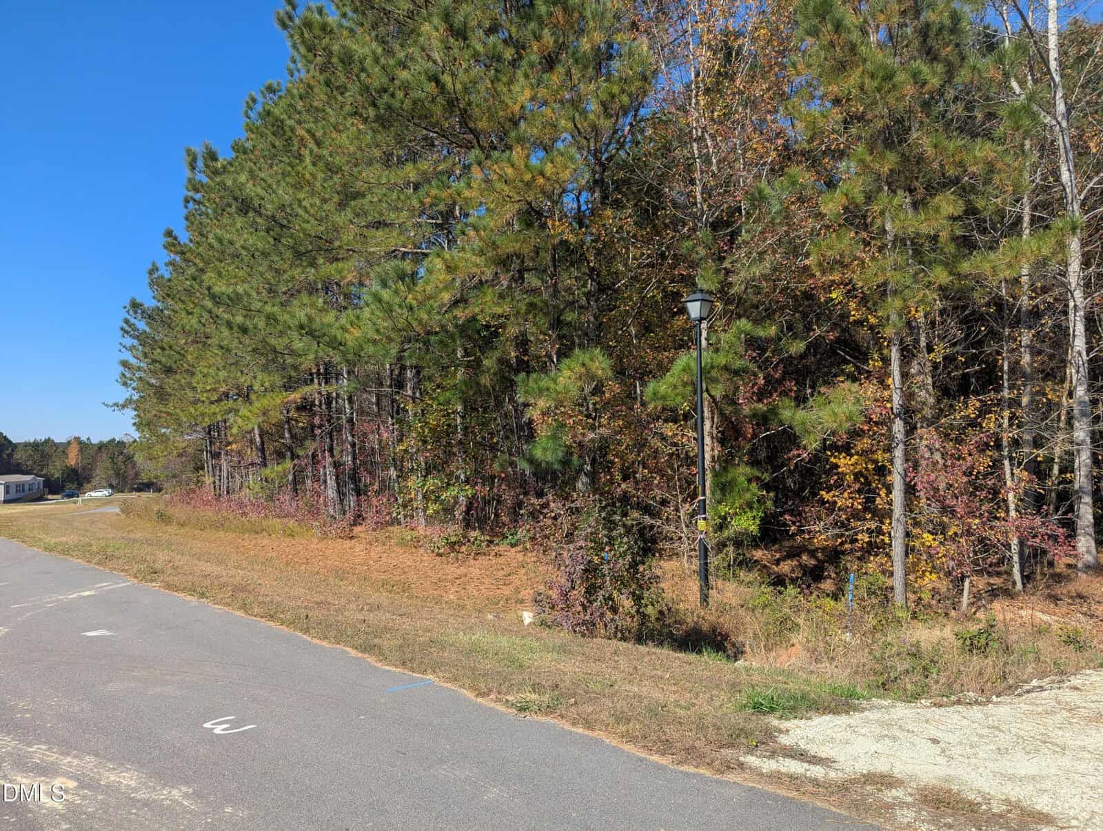 A paved road curves beside a wooded area with tall pine trees and autumn foliage near 0 Sandy Plains Lane in Warrenton. A streetlamp stands near the edge of the trees under a clear blue sky.