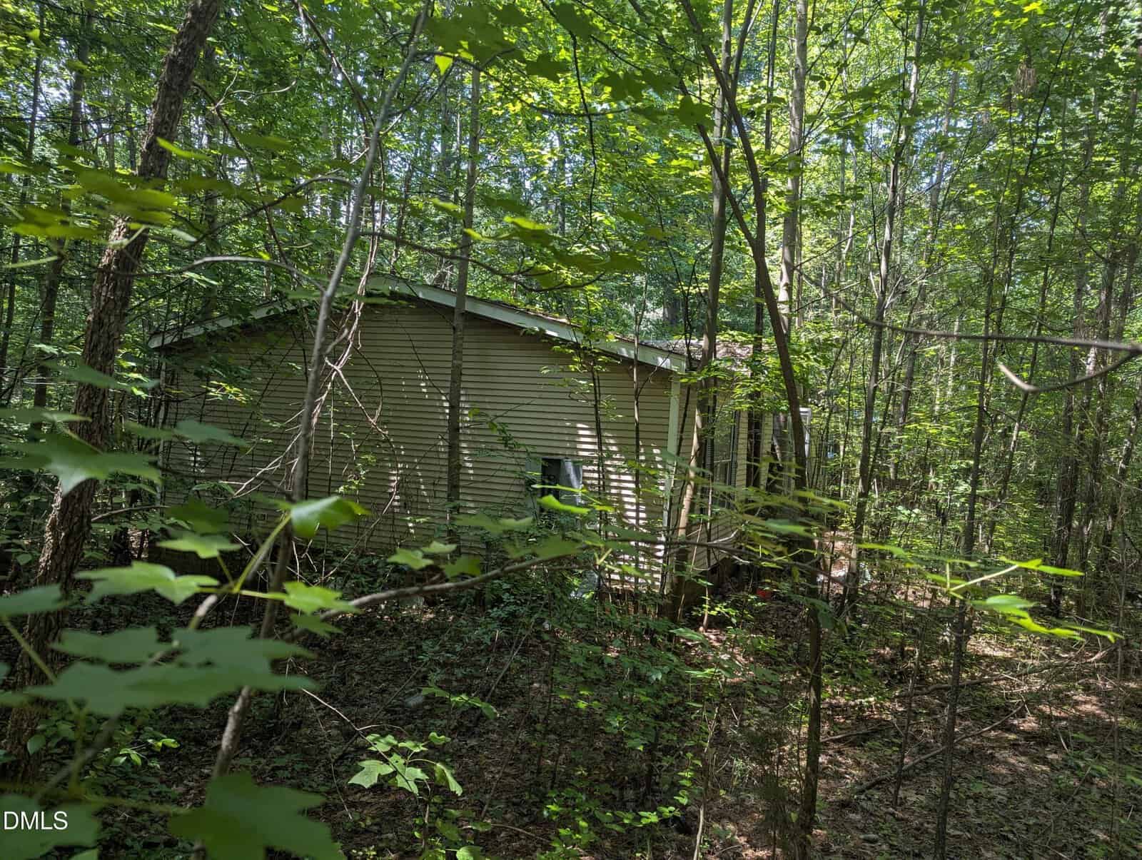 A small, weathered house with light-colored siding is partially hidden among dense trees and overgrown vegetation in a forested area.