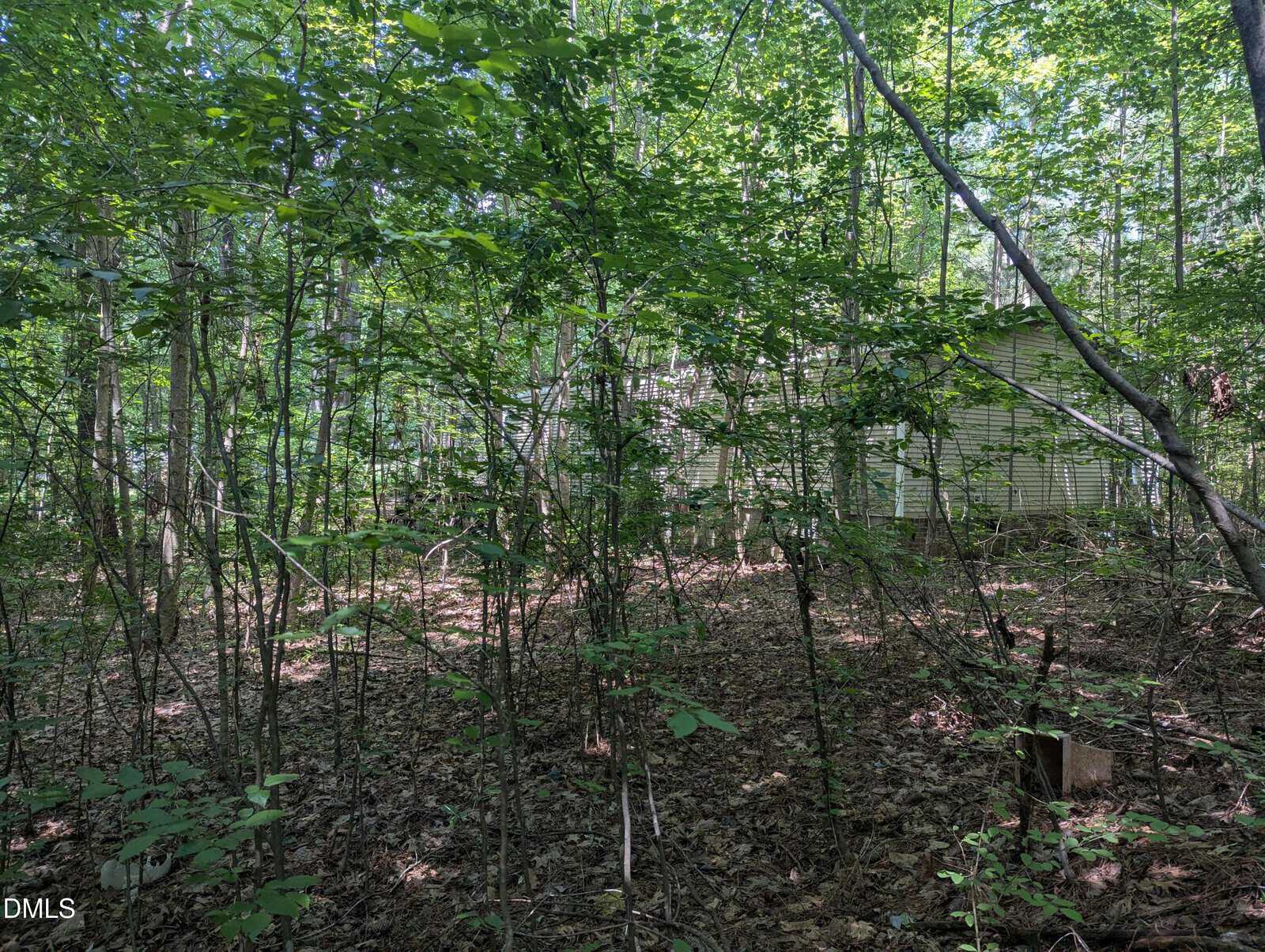 A small house or shed partially hidden by dense green trees and underbrush in a wooded area with sunlight filtering through the leaves.