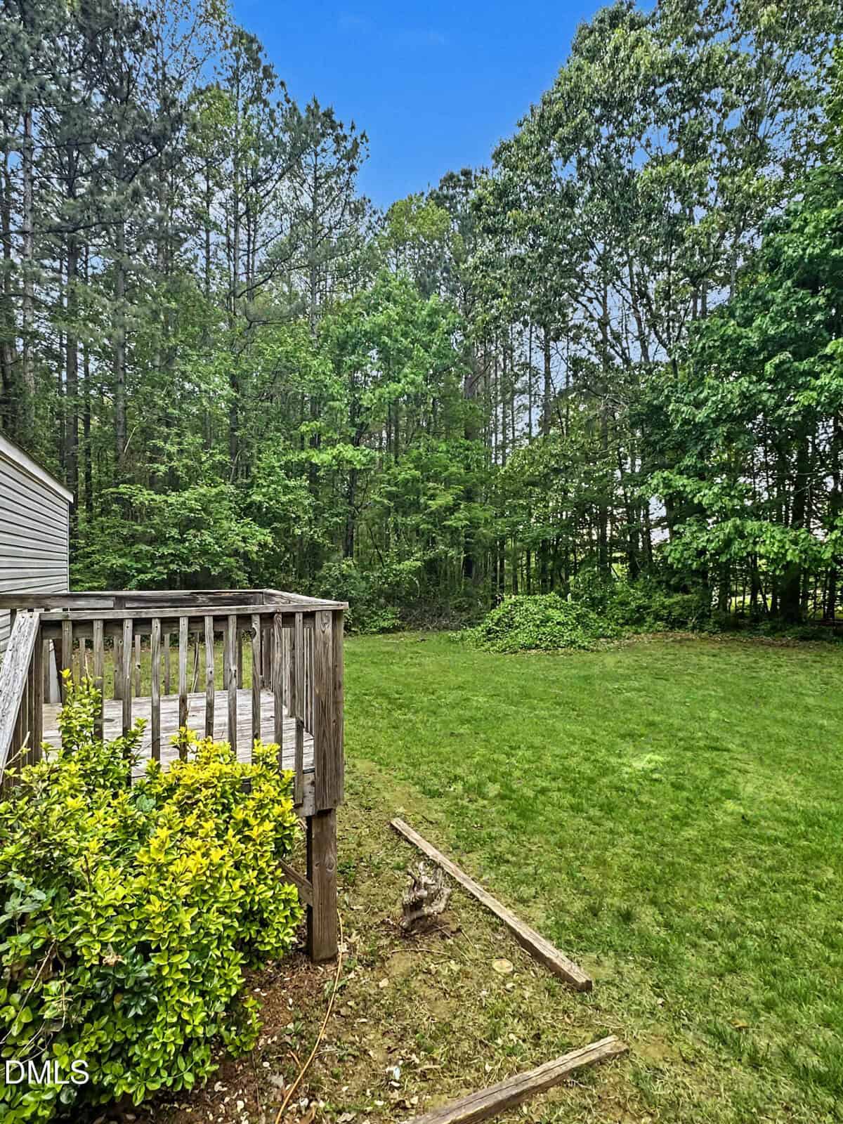 A wooden deck overlooks a grassy backyard bordered by dense, leafy trees. A bush grows beside the deck, and a couple of wooden planks lie on the ground. The sky is clear and blue.