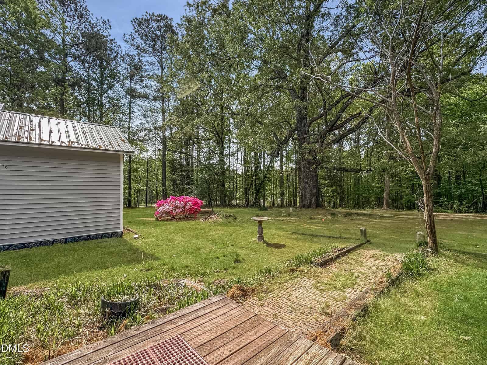 A yard with a wooden deck, birdbath, flowering bush, and large trees. Part of a house with light siding and a metal roof is visible on the left. The lawn is surrounded by woods.