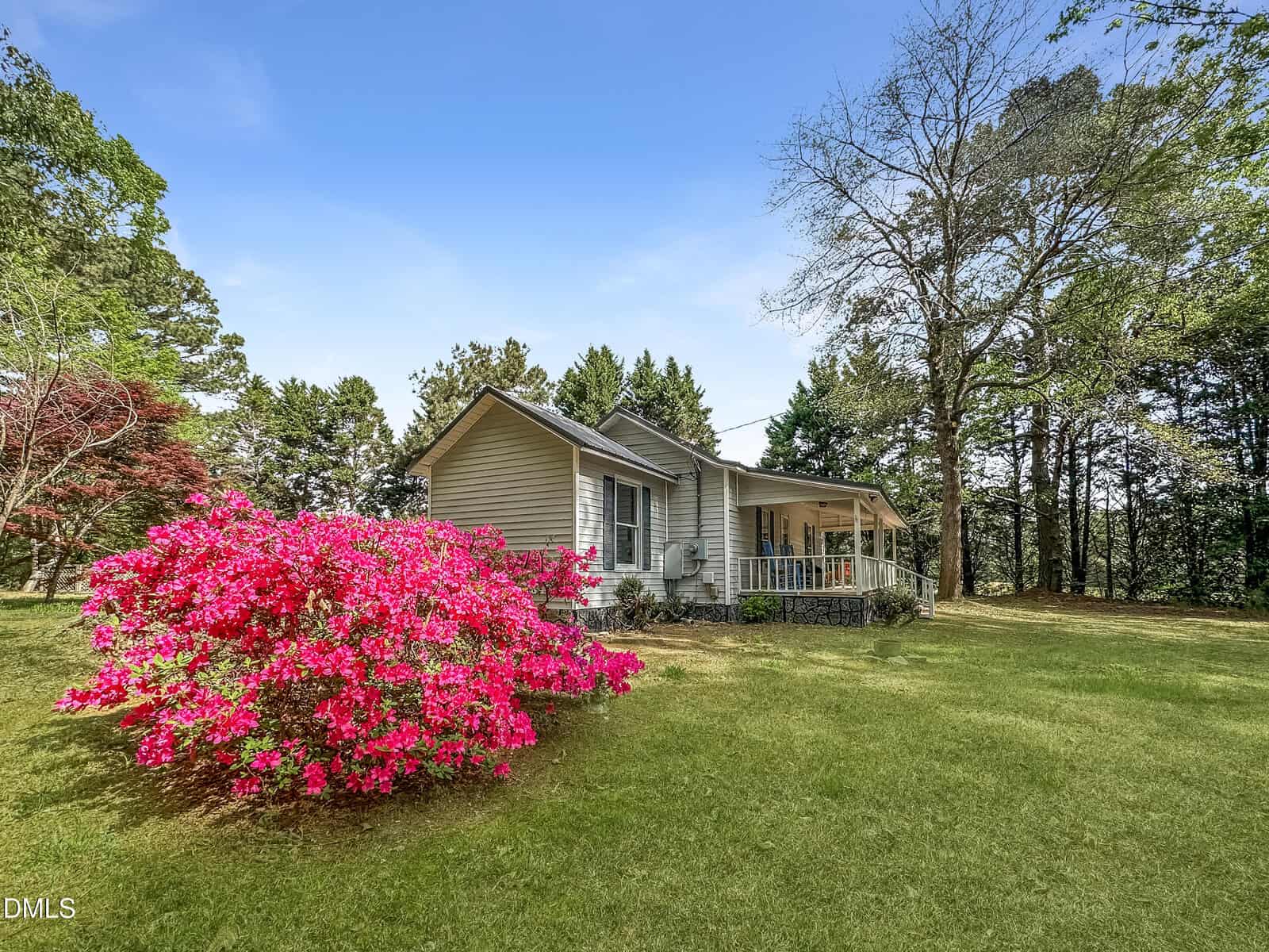A small beige house with a covered front porch sits on a grassy lawn, surrounded by tall trees. A large bush with bright pink flowers is blooming in the foreground under a clear blue sky.