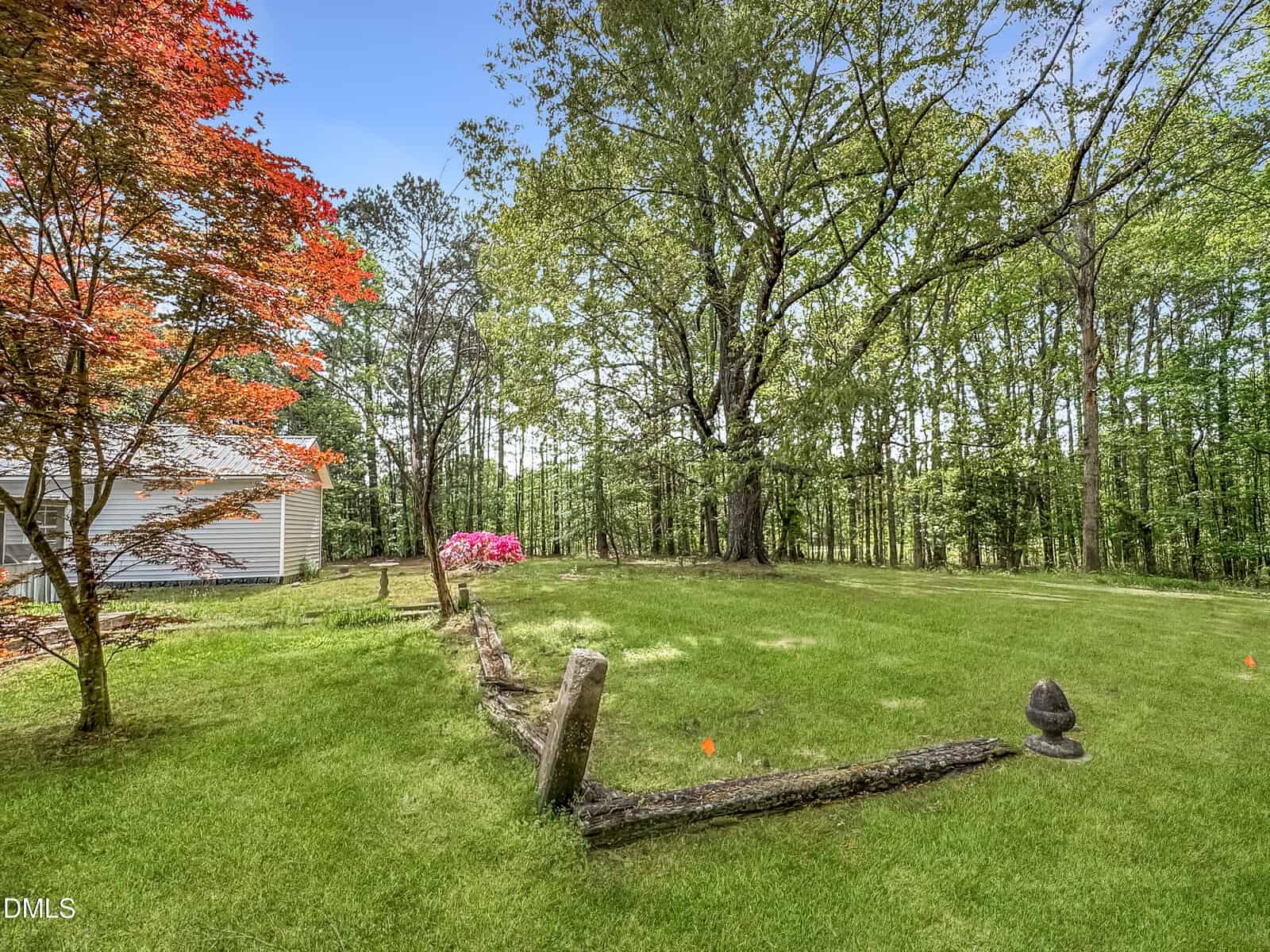 A grassy yard with a rustic wooden fence, colorful bushes, and tall trees in the background. A white house is partially visible on the left side under a red-leaved tree.