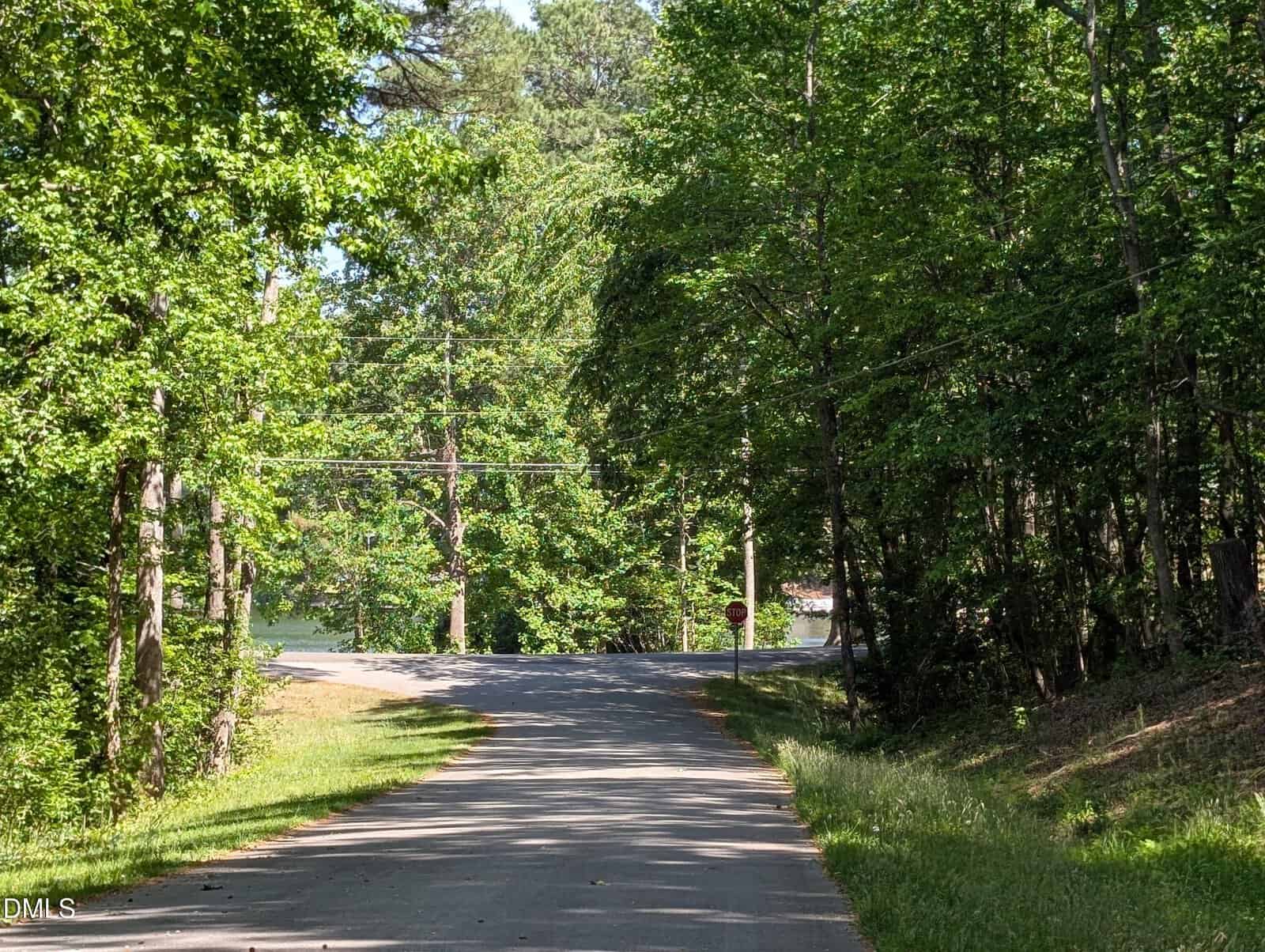 A paved road curves gently through a lush, green forest with sunlight filtering through the trees. A stop sign is visible in the distance near an intersection, and a glimpse of water can be seen beyond the trees.
