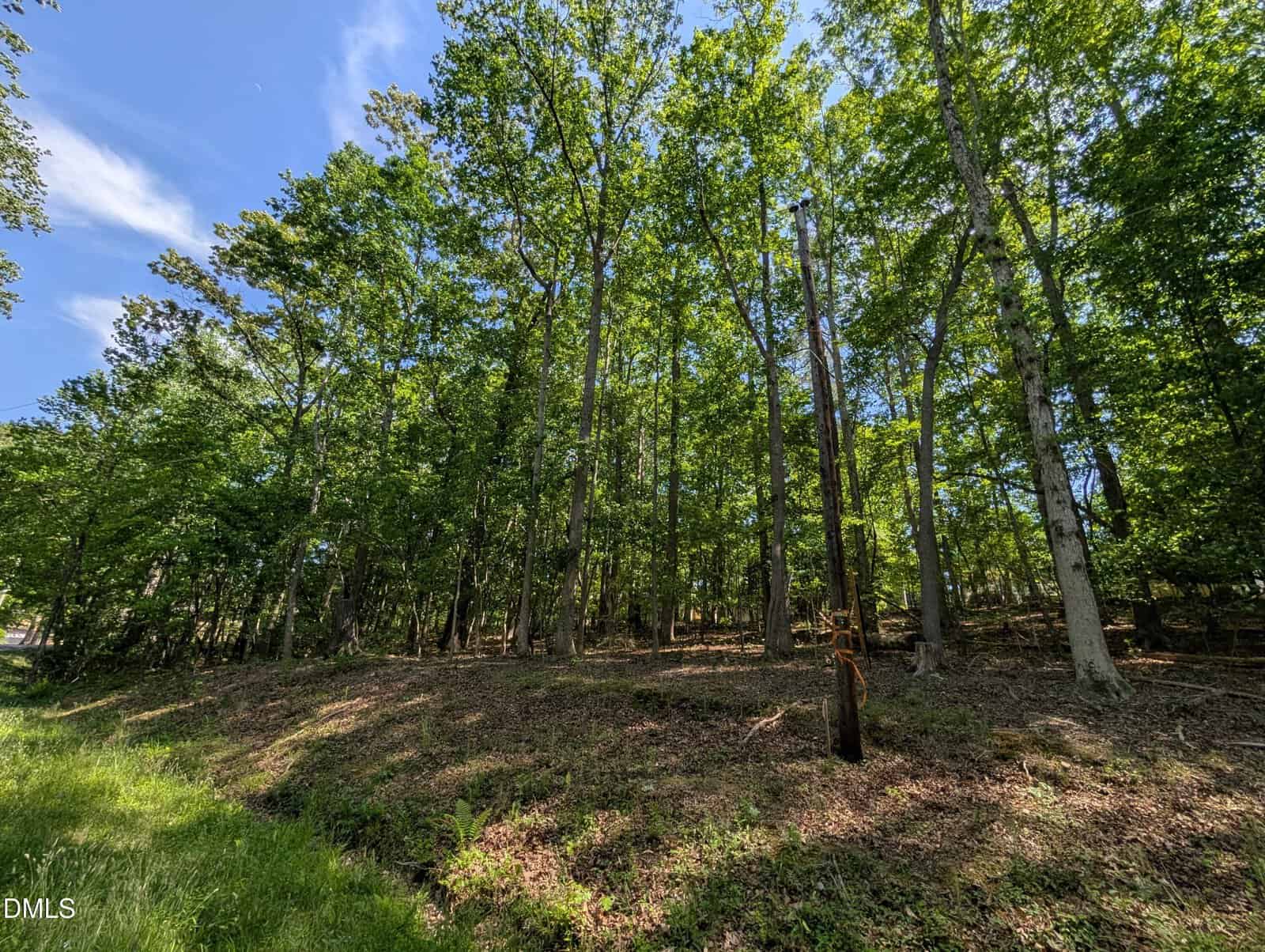 A sunlit forest with tall, leafy green trees and a grassy slope. The sky is clear with a few clouds. A rusty metal post stands in the foreground among the trees and undergrowth.
