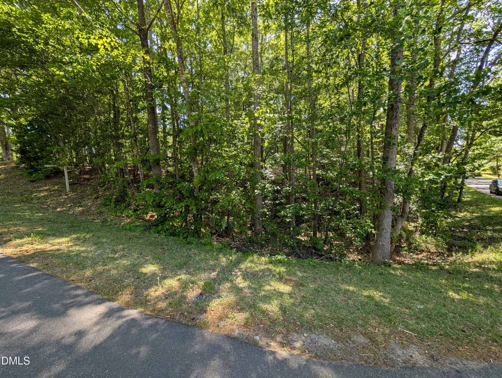 A roadside view of a densely wooded area with tall green trees and thick undergrowth, next to a grassy strip and a paved road on a sunny day.