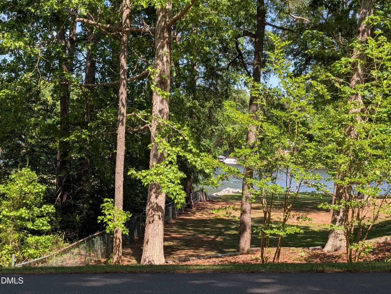 A sunlit path lined with tall trees leads to a lake, with a dock and a boat visible through the greenery. The scene is peaceful, with dappled sunlight on the ground and bright blue water in the background.