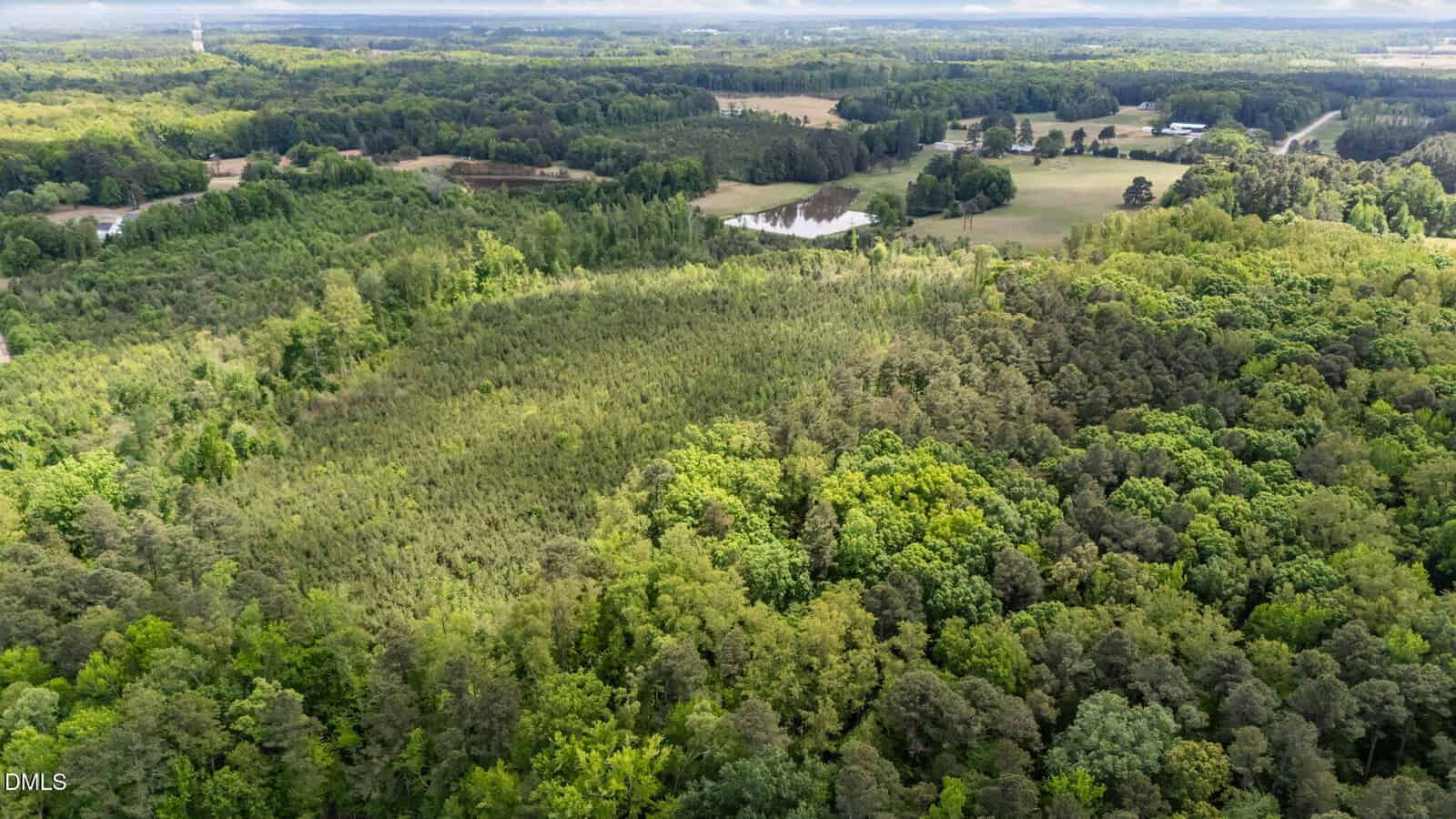 Aerial view of a lush, green forest with dense trees, open clearings, and a pond in the background. Several buildings and roads are visible beyond the trees, surrounded by rural landscape.