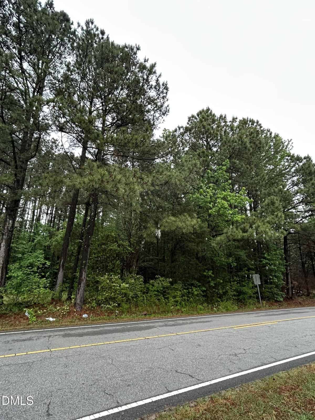 A two-lane road runs alongside a dense forest of tall pine trees with green undergrowth. The sky is overcast, and a small road sign is partially visible among the trees on the right.