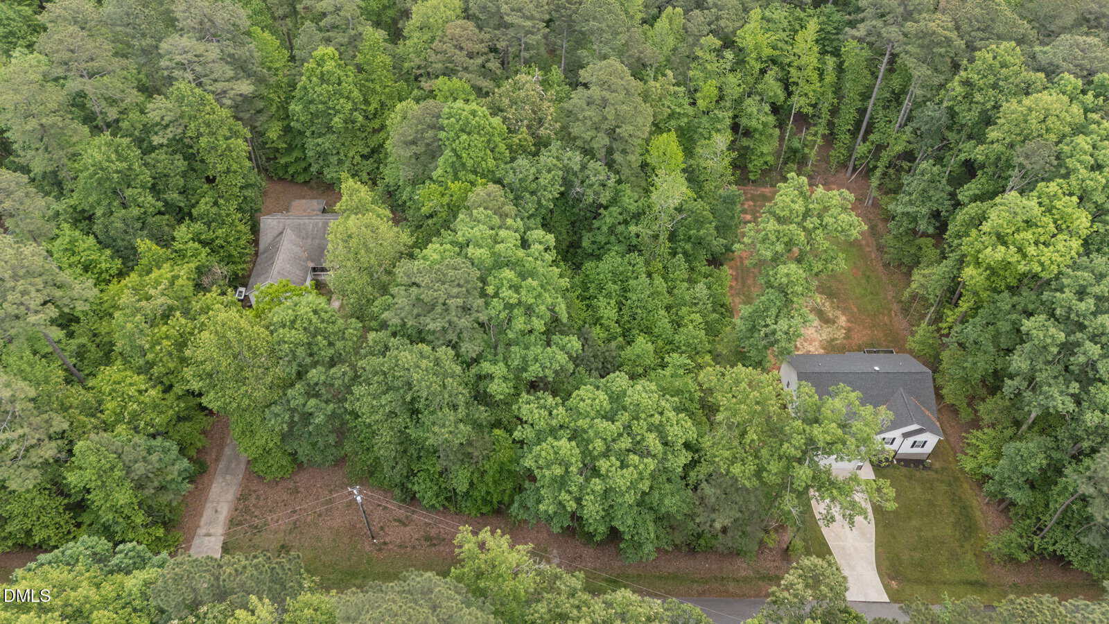 Aerial view of two houses surrounded by dense green trees; one house is partially hidden among the trees on the left, while the other is more visible with a driveway leading to the road on the right.