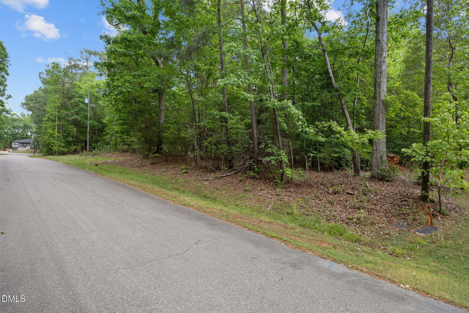 A quiet, paved road curves next to a wooded area filled with tall green trees and underbrush; a house is partially visible in the distance under a blue sky with scattered clouds.