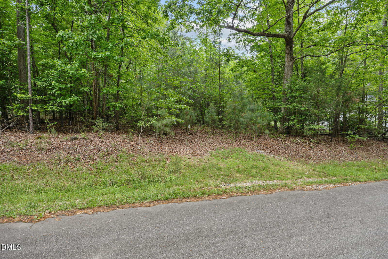 A paved road runs alongside a grassy strip and dense woodland with tall green trees and undergrowth on a cloudy day.
