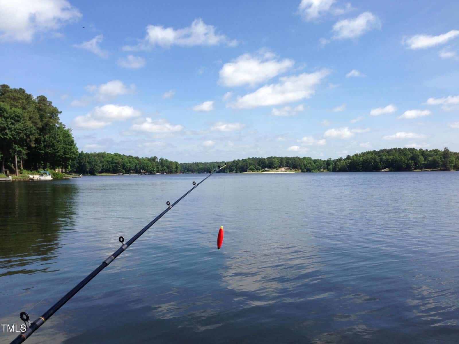 A fishing rod with a red bobber is cast into a calm lake surrounded by trees under a blue sky with scattered white clouds.