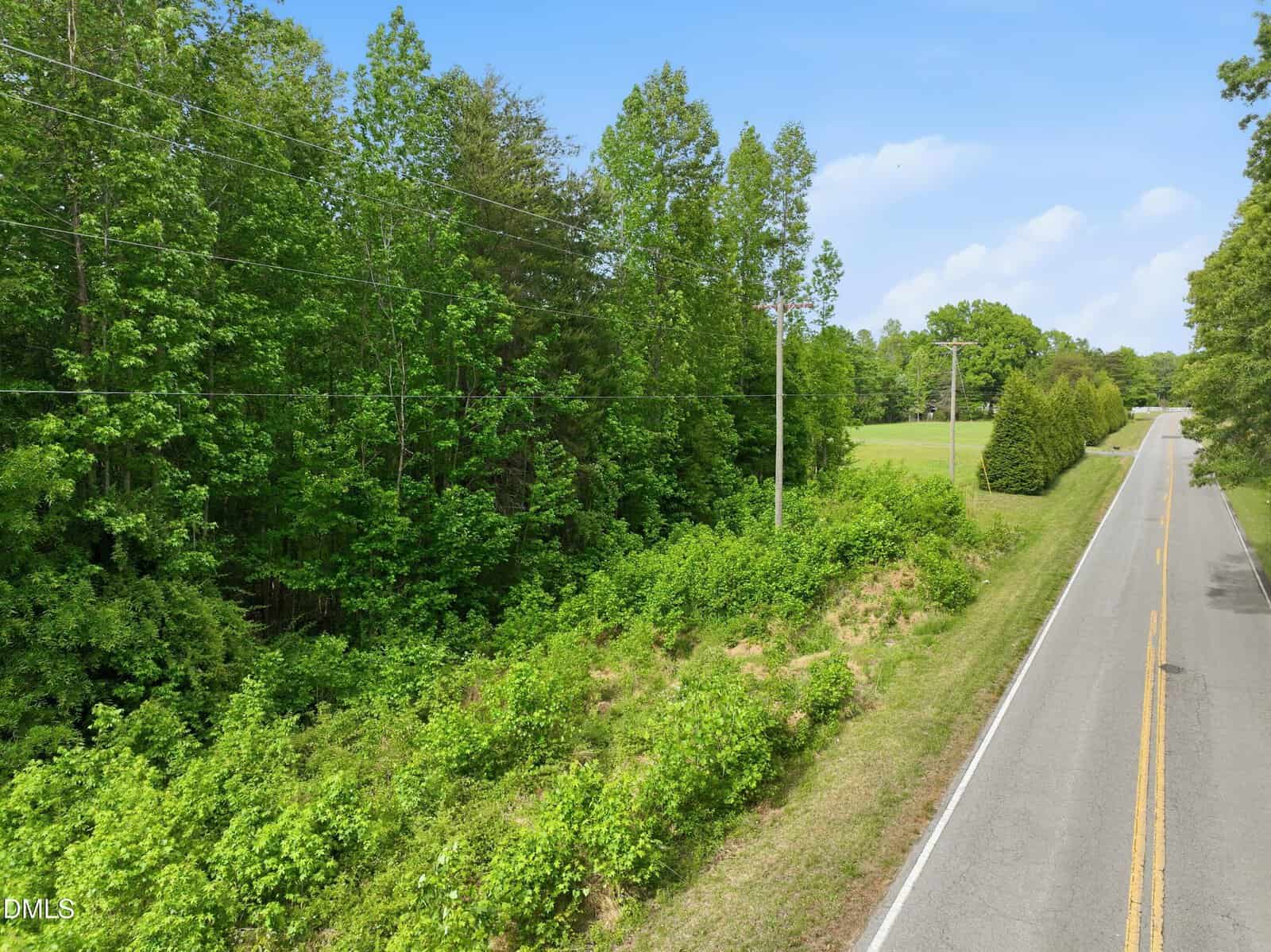 A two-lane rural road runs alongside a dense forest of green trees and shrubs under a blue sky with scattered clouds. Power lines follow the road, and a grassy clearing is visible in the distance.