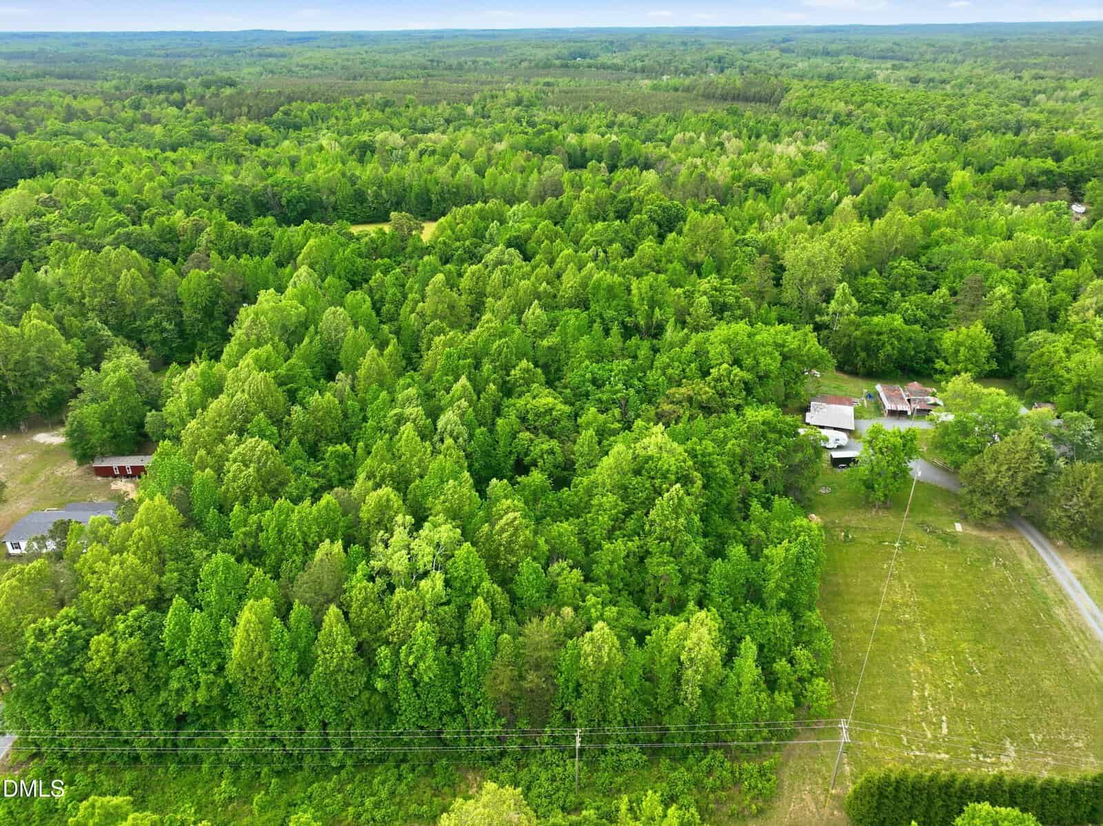 Aerial view of a lush, green forest with scattered houses, open grassy areas, and a road running alongside the trees under a cloudy sky.