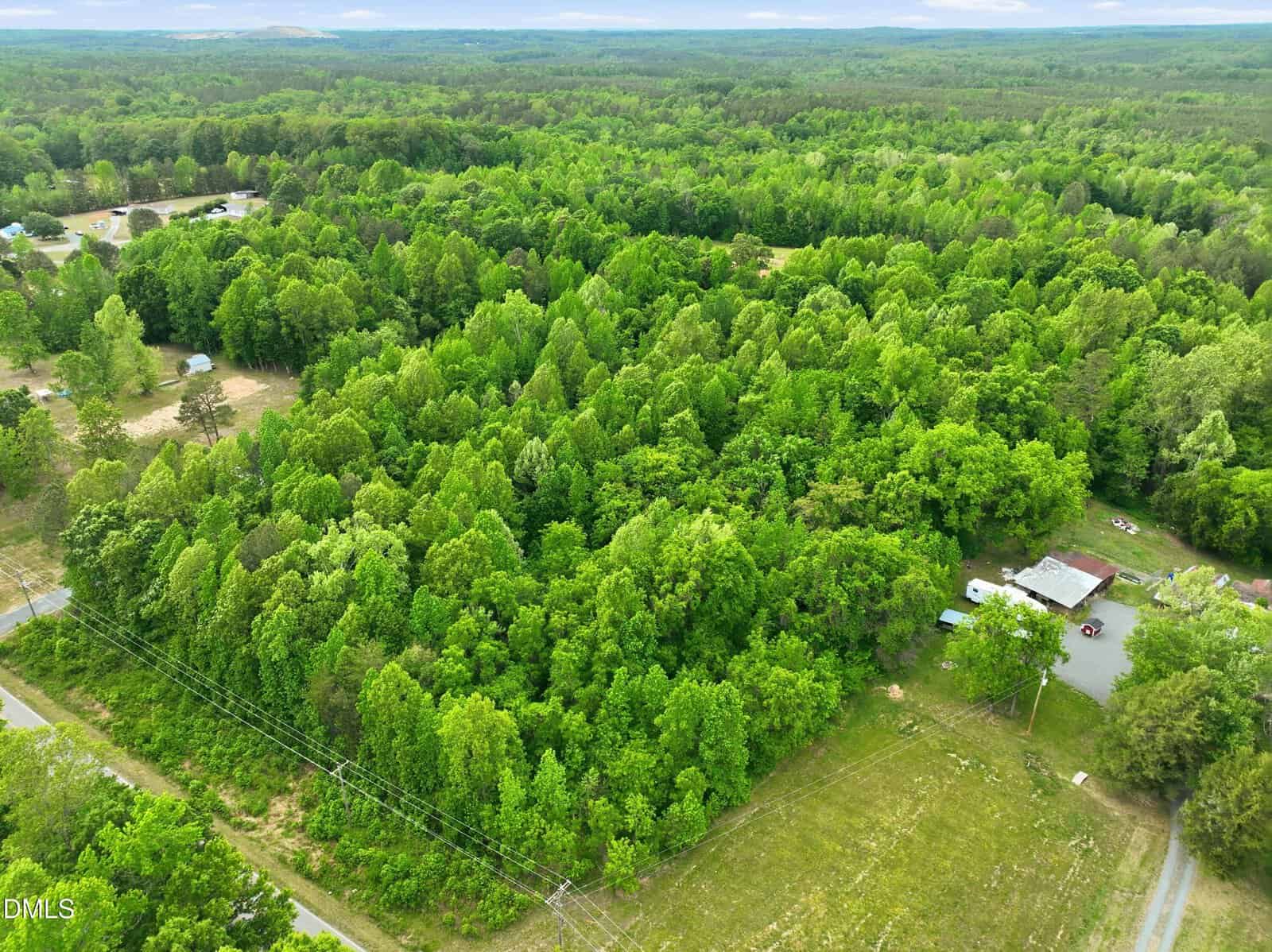 Aerial view of a densely wooded area with a few scattered buildings, a road bordering the forest, and a utility line cutting through the landscape. The scene is lush and green with forests stretching into the distance.
