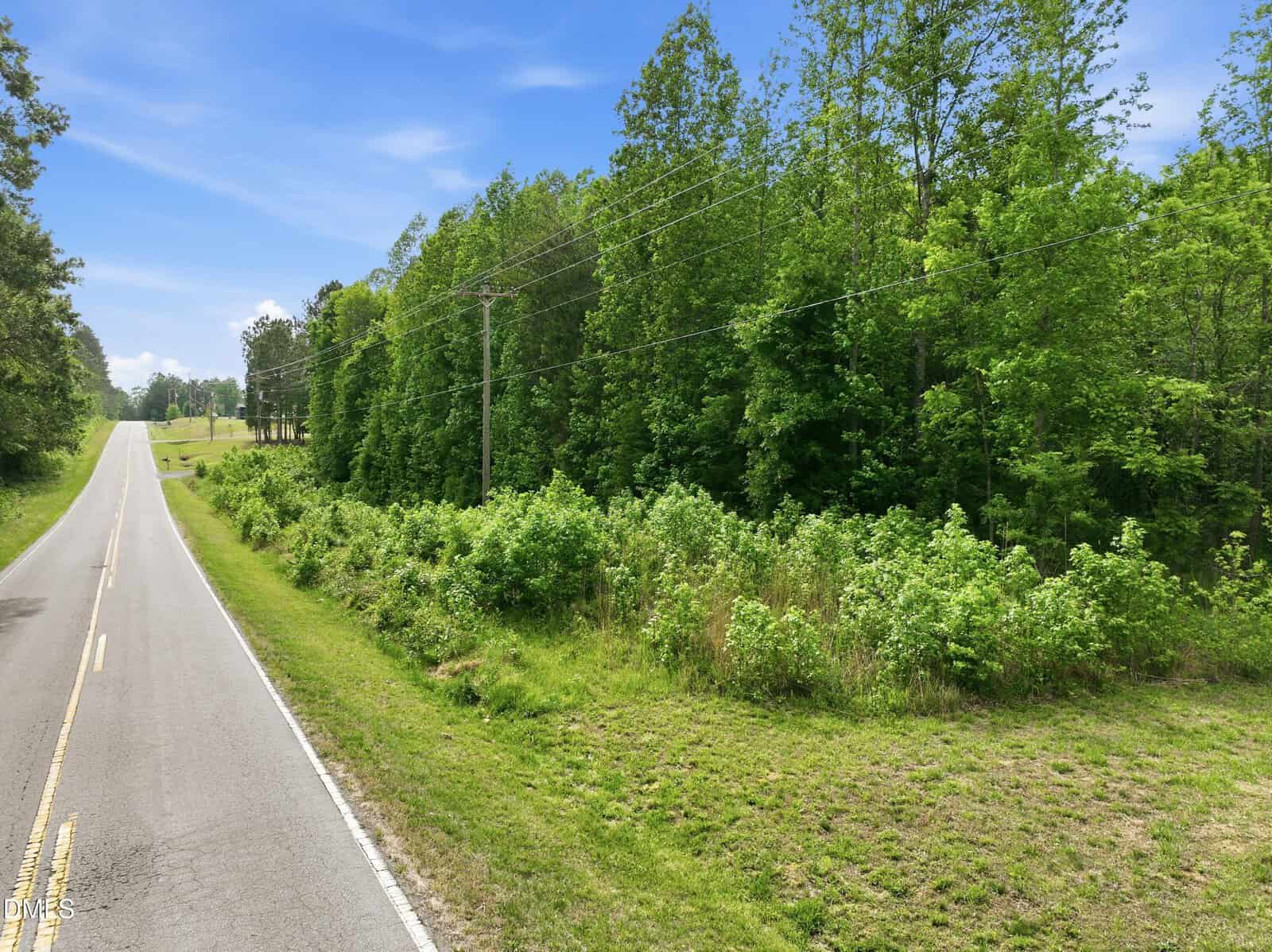 A rural road runs alongside a dense, green forest with tall trees and underbrush under a partly cloudy blue sky. Power lines are visible, running parallel to the road.