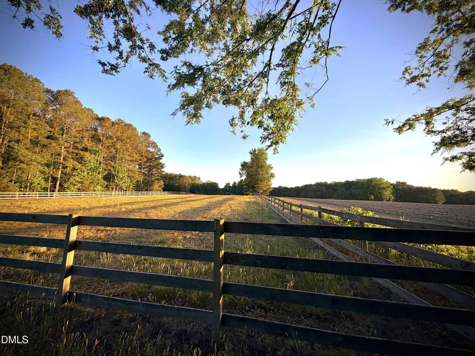 A wooden fence runs alongside a sunlit field bordered by trees under a clear blue sky, with long shadows cast by the setting sun and green leaves hanging from a branch in the foreground.