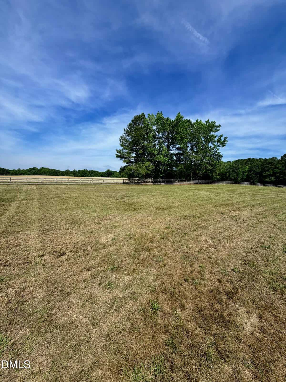 A wide, open grassy field with patches of dry grass under a blue sky with wispy clouds. In the distance, there is a cluster of green trees and a wooden fence bordering the field.