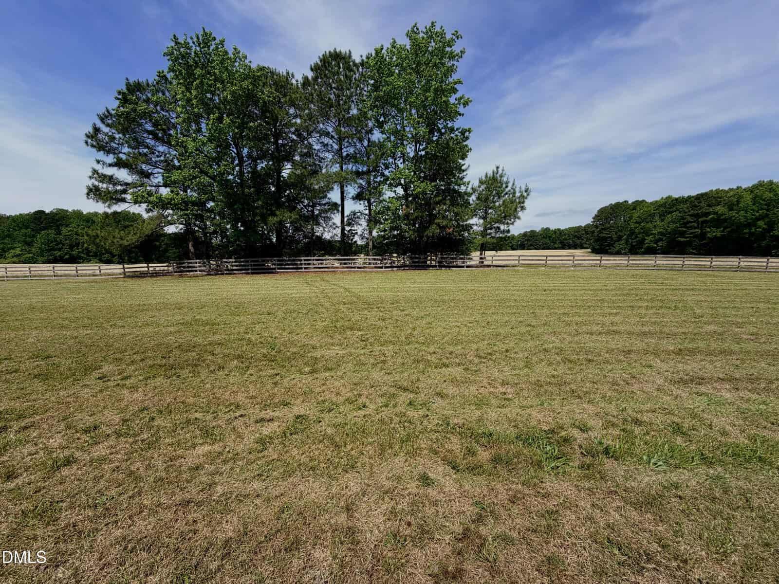 A wide, grassy field with a cluster of tall trees in the center, bordered by a wooden fence under a blue sky with scattered clouds.