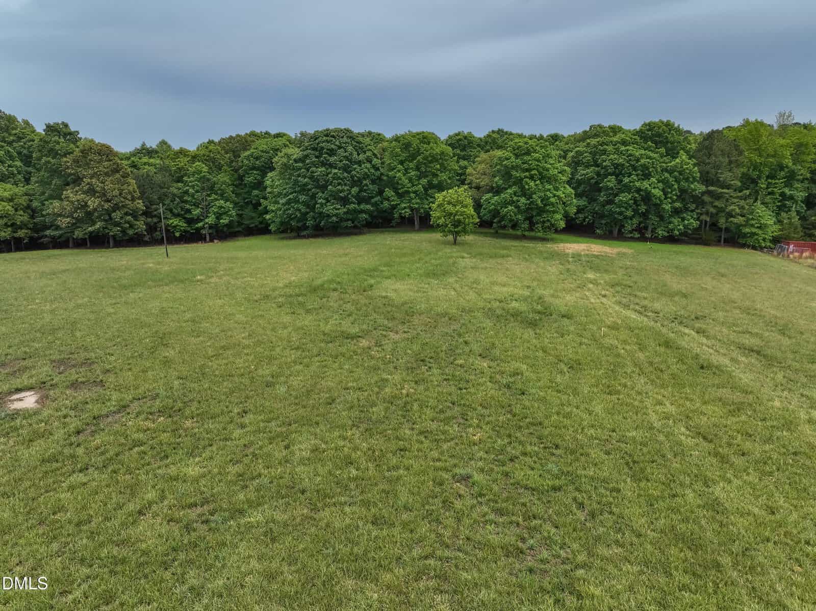 A wide, open grassy field with a single tree near the center, bordered by a dense line of green trees under a cloudy sky.