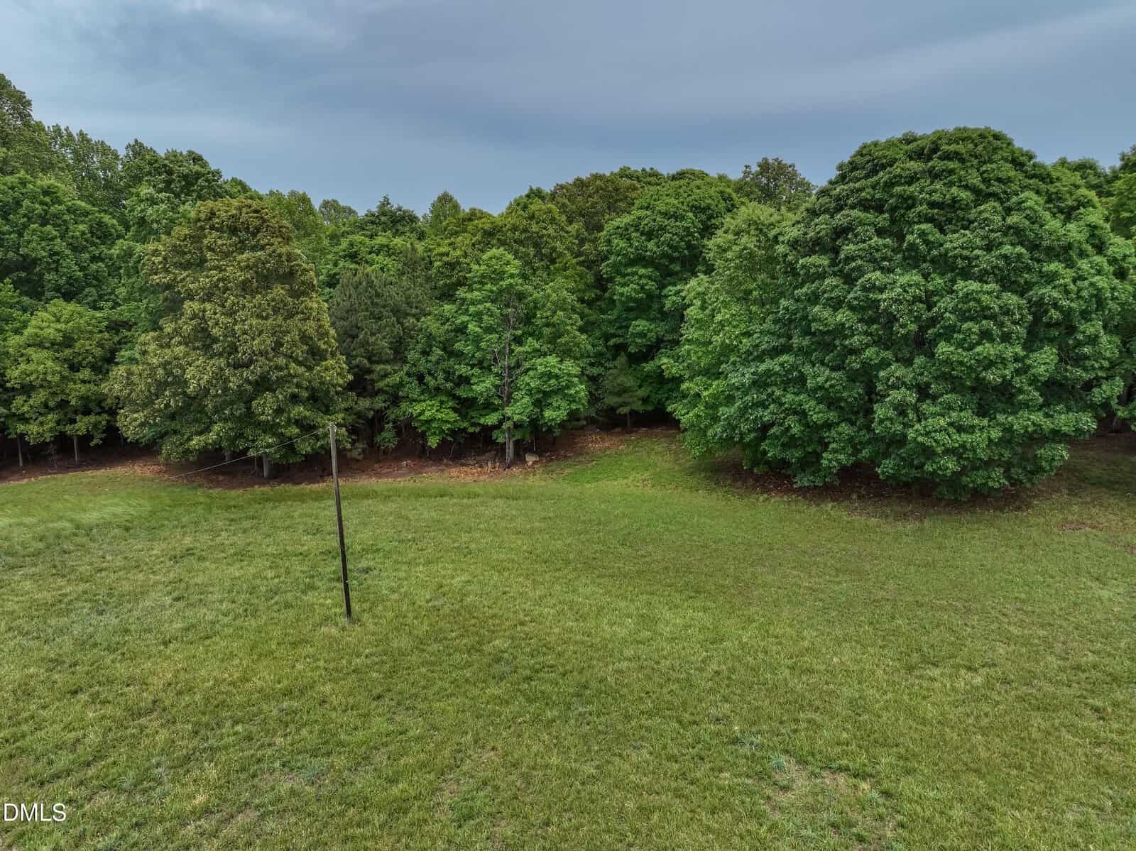 A grassy field bordered by dense, leafy green trees under a cloudy sky, with a single utility pole standing in the open area.