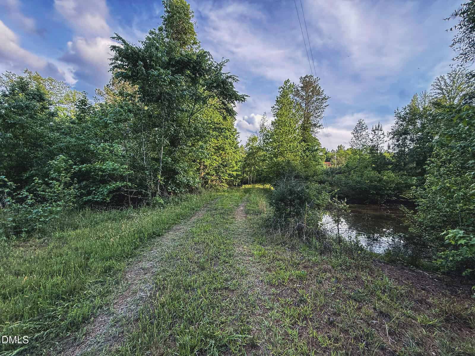 A grassy path leads through dense green trees under a partly cloudy sky, with a small pond visible on the right side of the image.