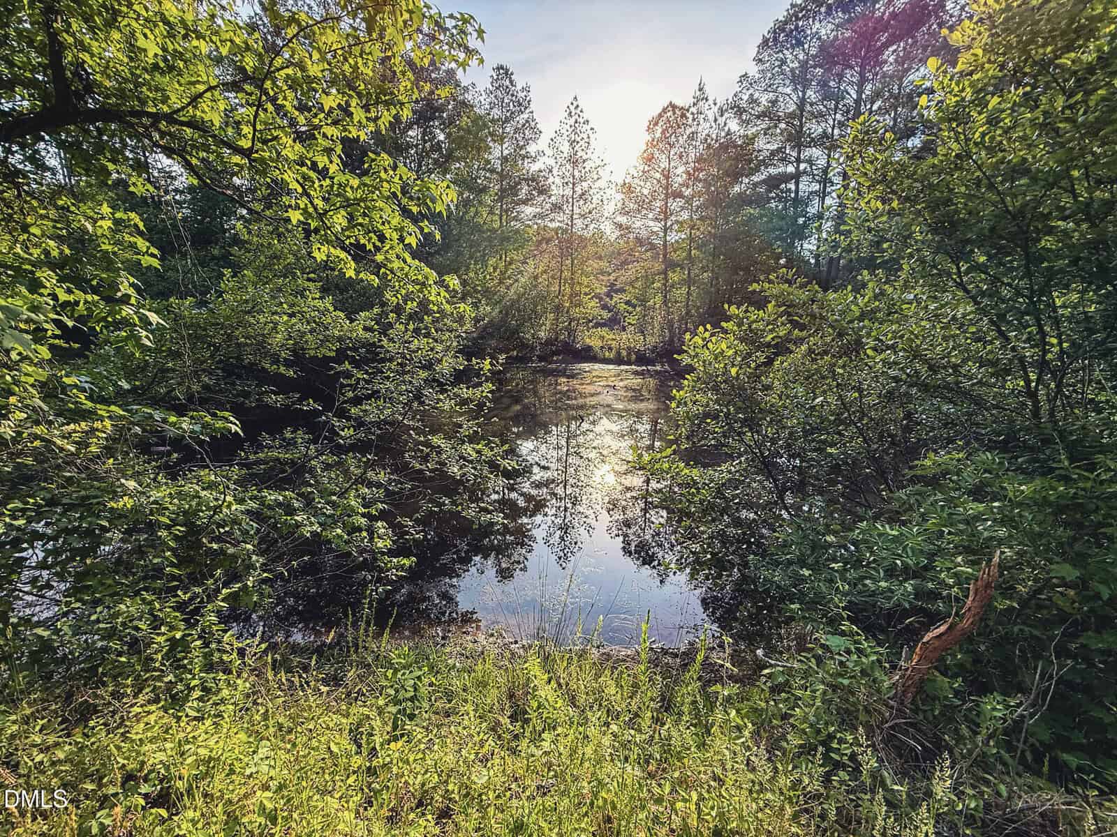 Sunlight shines through tall trees over a small, calm pond surrounded by lush green foliage at 4012 Nc-56, Franklinton, with reflections of the trees and sky visible in the water.