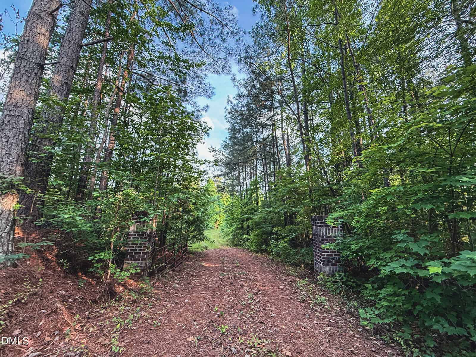 A dirt path leads through a dense, green forest, flanked by two old, mossy brick gateposts. Tall trees and lush foliage surround the path under a bright, partly cloudy sky.