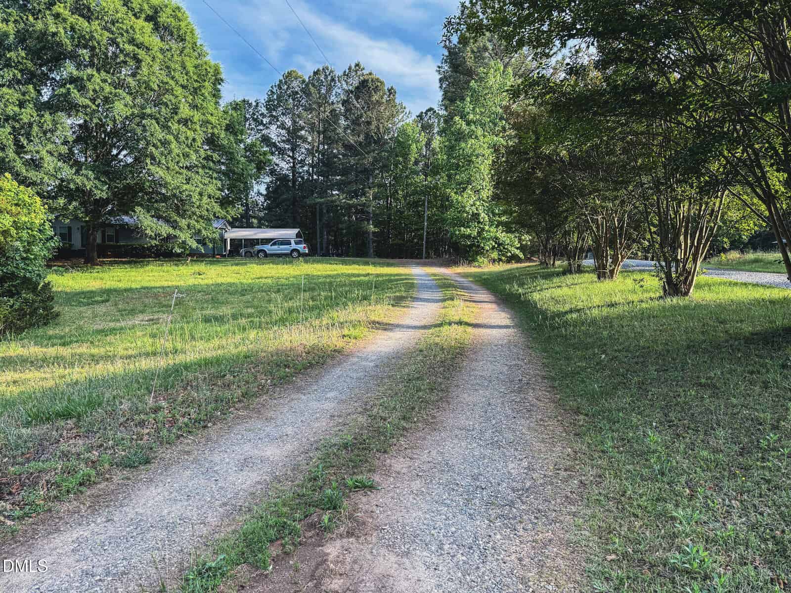 A gravel driveway curves through a grassy yard with tall green trees on both sides; a white van and a house are partially visible in the background under the shade of trees.