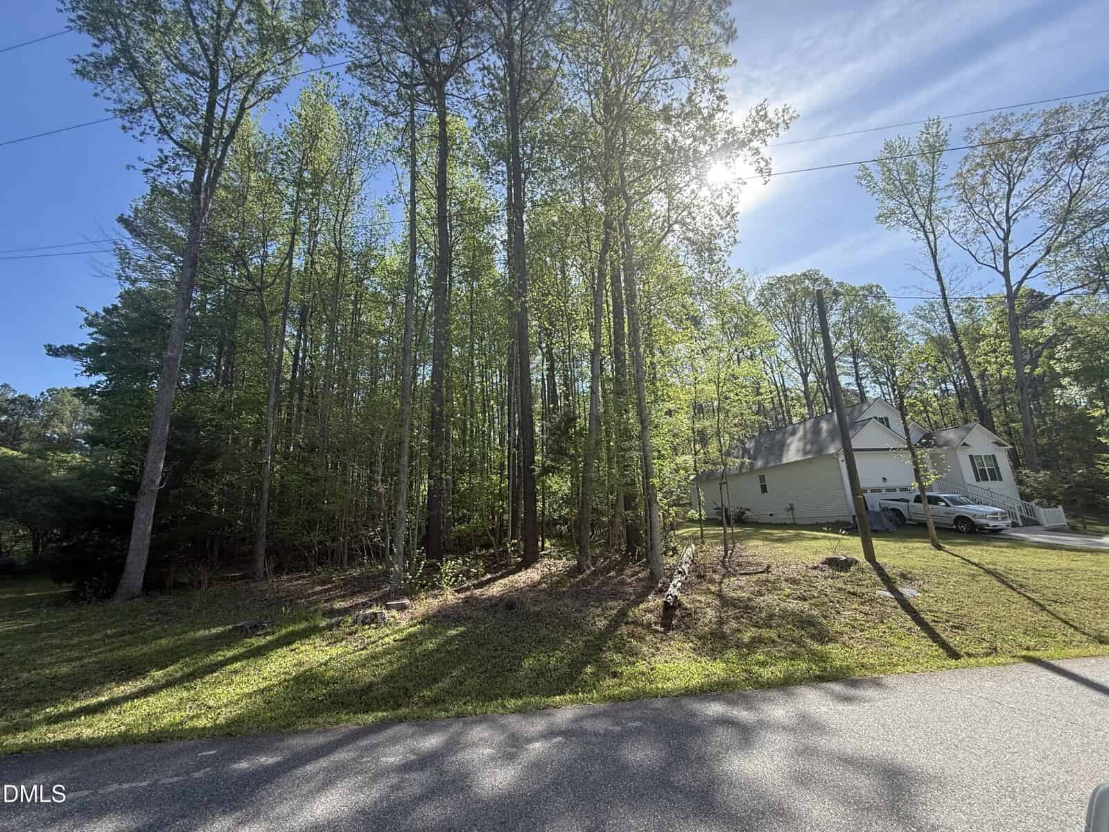 A sunny day view of a wooded lot with tall trees next to a white house with a sloped driveway, bordered by a paved road and grassy lawn. Shadows from the trees stretch across the ground.