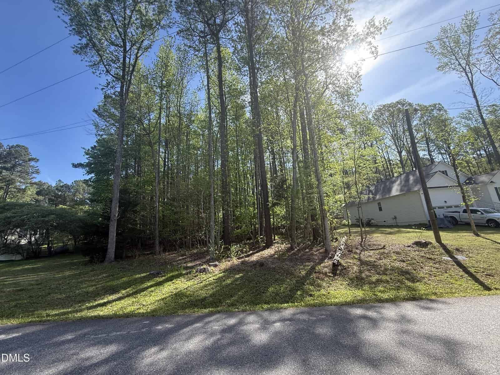 A sunny day with tall trees along a quiet residential street; a white house with cars in the driveway is visible on the right and dense green woods are on the left.
