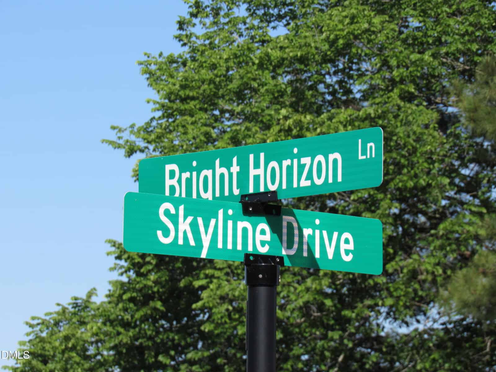 Street signs at an intersection display "Bright Horizon Ln" and "Skyline Drive" against a background of green trees and a clear blue sky.