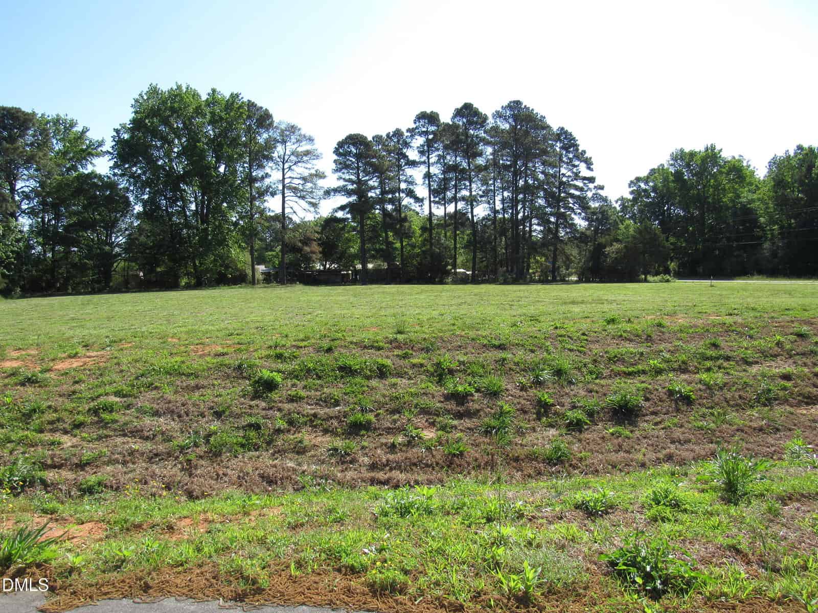 Open grassy field with patches of dirt in the foreground, bordered by tall trees in the background under a clear blue sky.