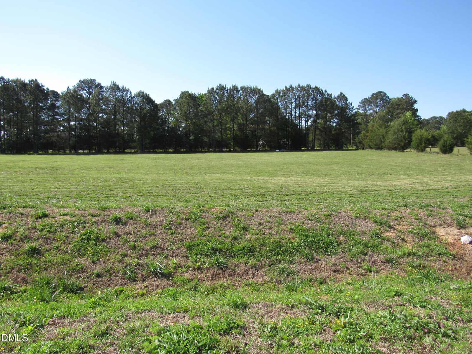 A large, open grassy field with a line of tall trees in the background under a clear blue sky.