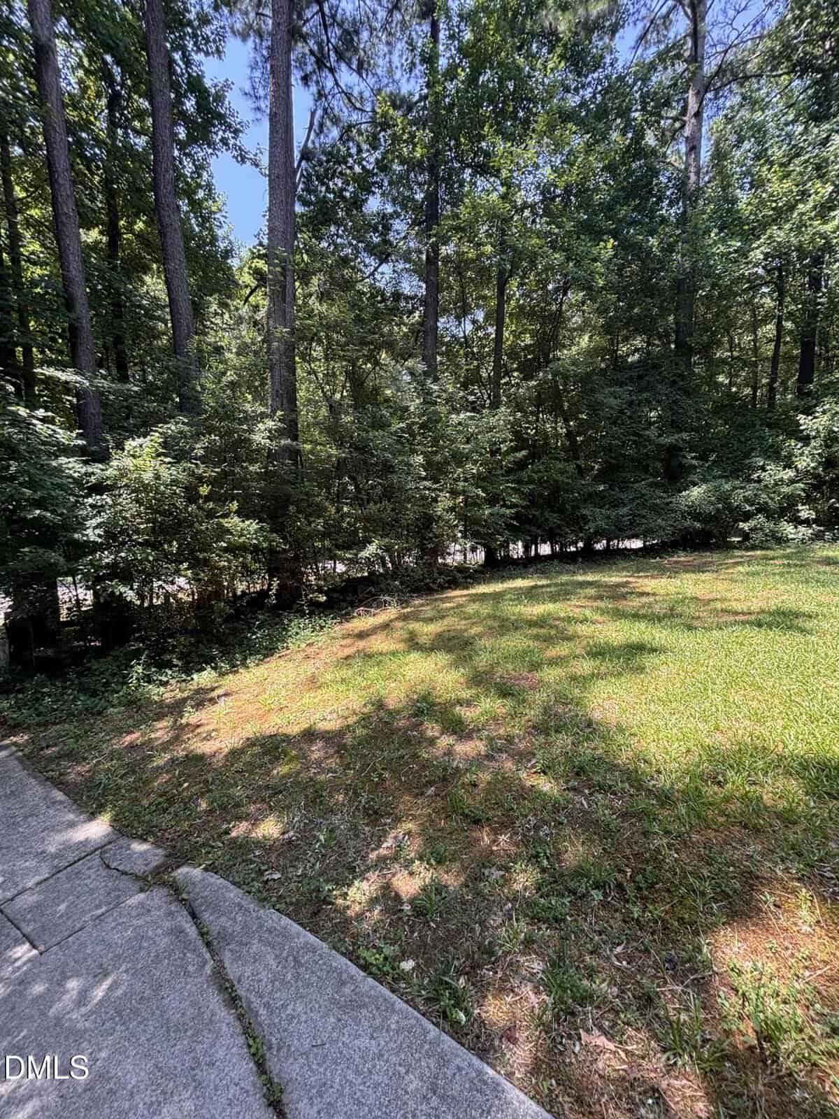 A sunny backyard with a grassy lawn bordered by a concrete walkway on the left and dense, tall trees and shrubs in the background. Shadows from the trees create patches of light and shade on the grass.