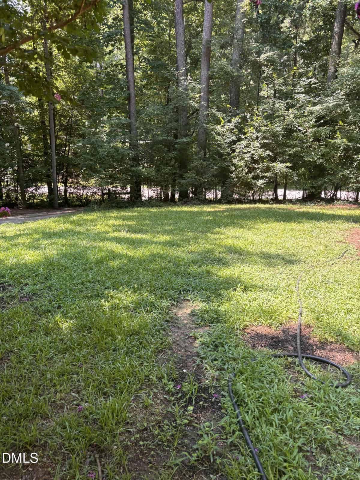 A grassy backyard with sunlight filtering through trees in the background. A black garden hose lies on the grass, and shadows from the trees cover parts of the yard.