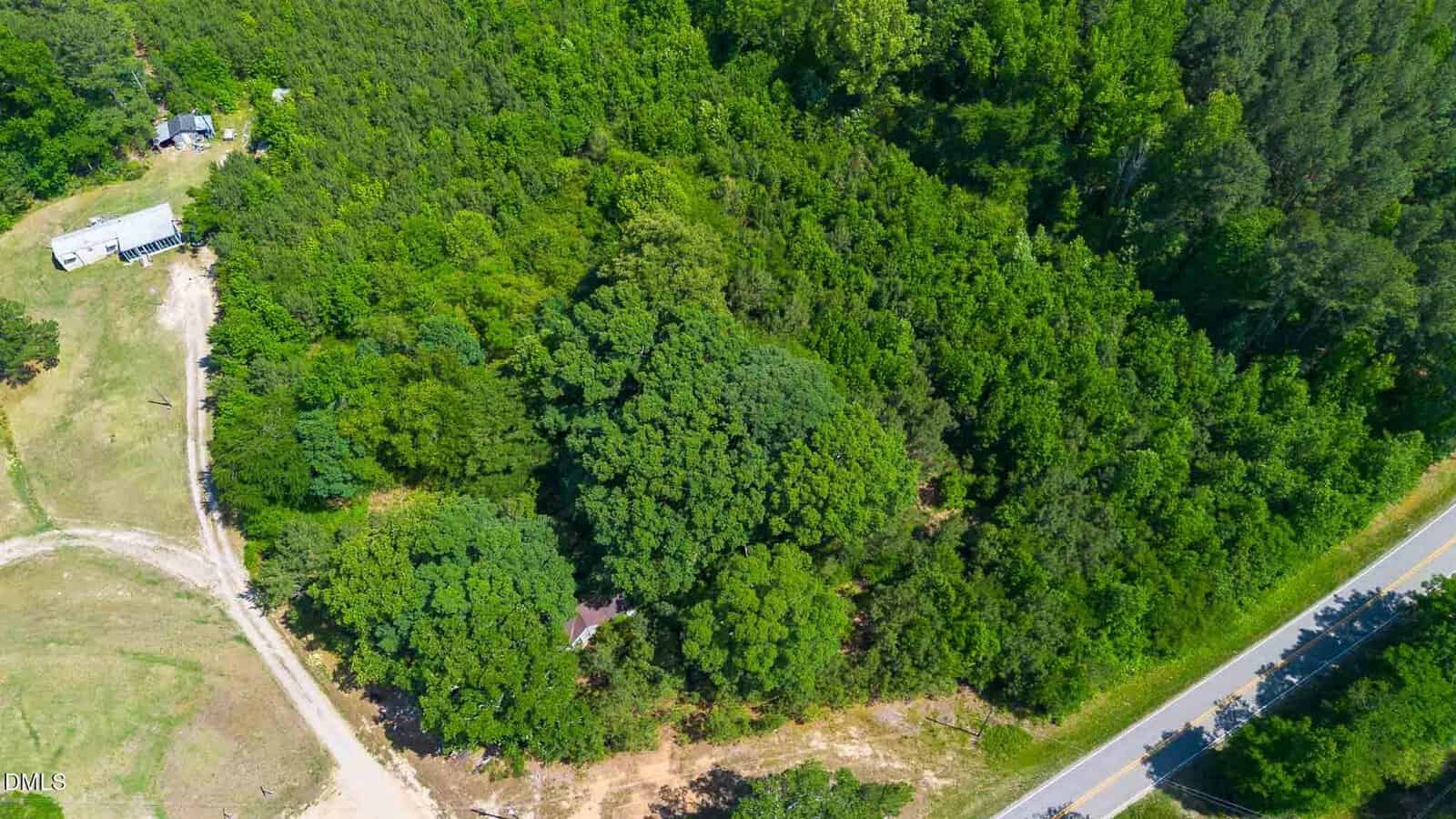 Aerial view of a dense, green forest bordered by a country road, with a small house partly visible among the trees and another building in a clearing on the left.