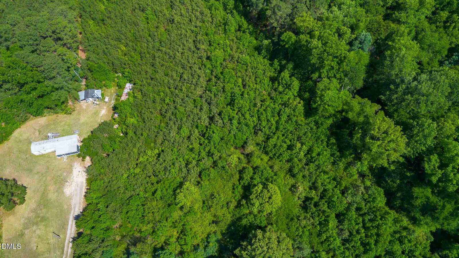 Aerial view of dense green forest with a small clearing on the left side containing a few structures and patches of grass.