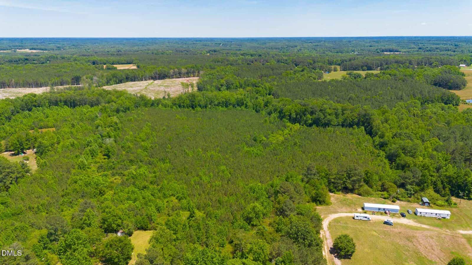 Aerial view of a large, green, forested area with a few buildings and vehicles on a grassy clearing, surrounded by dense trees under a clear blue sky.